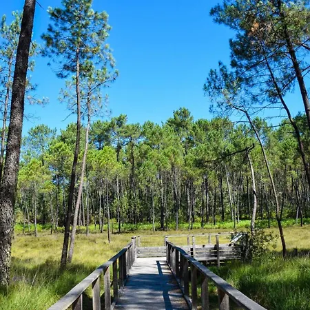 Chez Michel 1 Vakantiehuis Angoumé