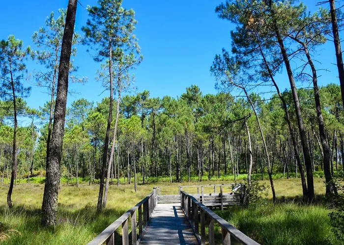 Chez Michel 1 Vakantiehuis Angoumé
